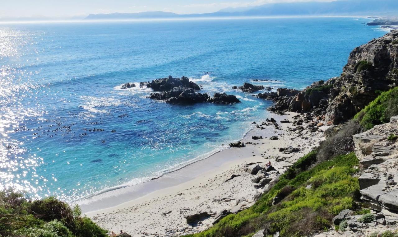 Kleinzee Oceanfront Guesthouse Gansbaai Exteriér fotografie